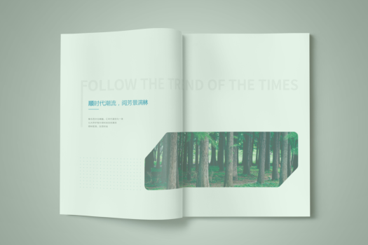 1671782427378724.jpg 1671782287884.jpg